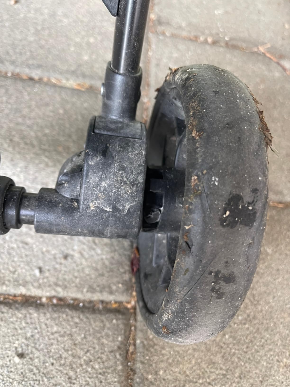 Toller Stadtbuggy