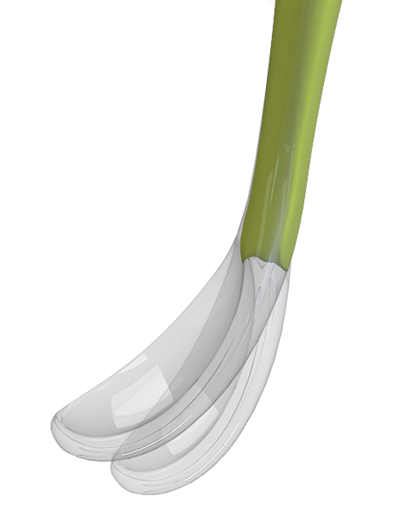chicco-f-tterl-ffel-silikon-lang-bpa-frei-6-monate image 3