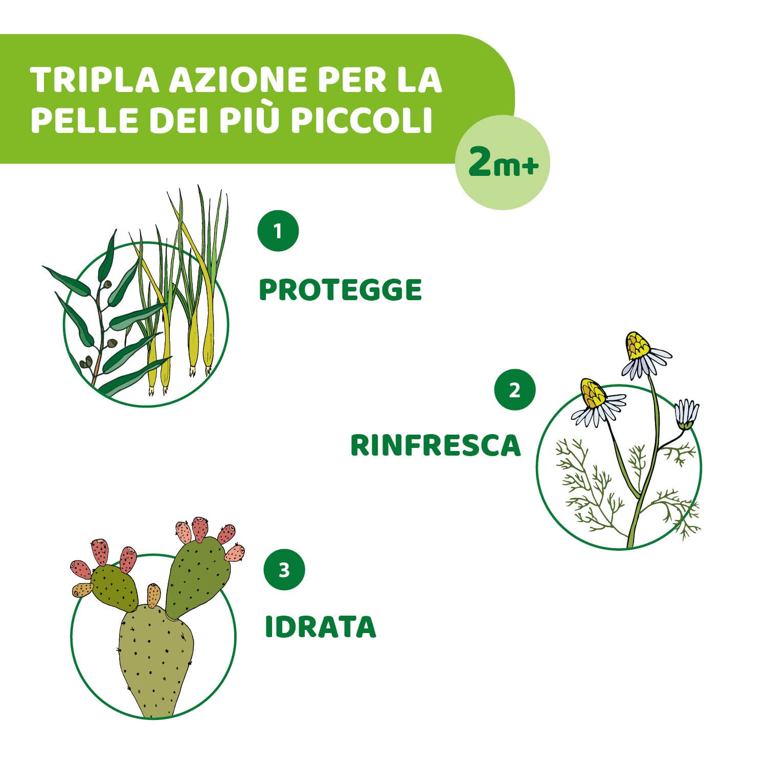 chicco-naturalz-schutzt-cher-20er-zitronengras-eukalyptus image 3