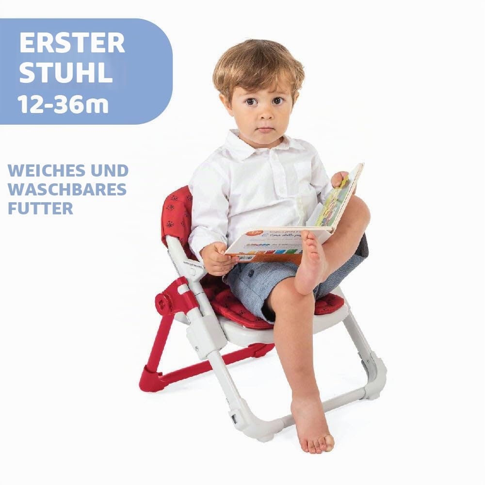 chicco-chairy-sitzerh-hung-bunny-mit-tablett-6-36-monate image 3